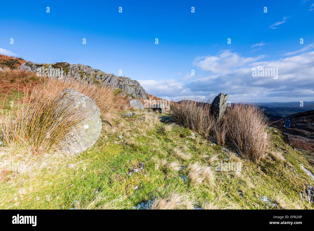 Neolithische stehenden Steinen oben Cwrt in Gwynedd, Wales. Dies ist innerhalb der Biosphäre Dyfi Stockfoto