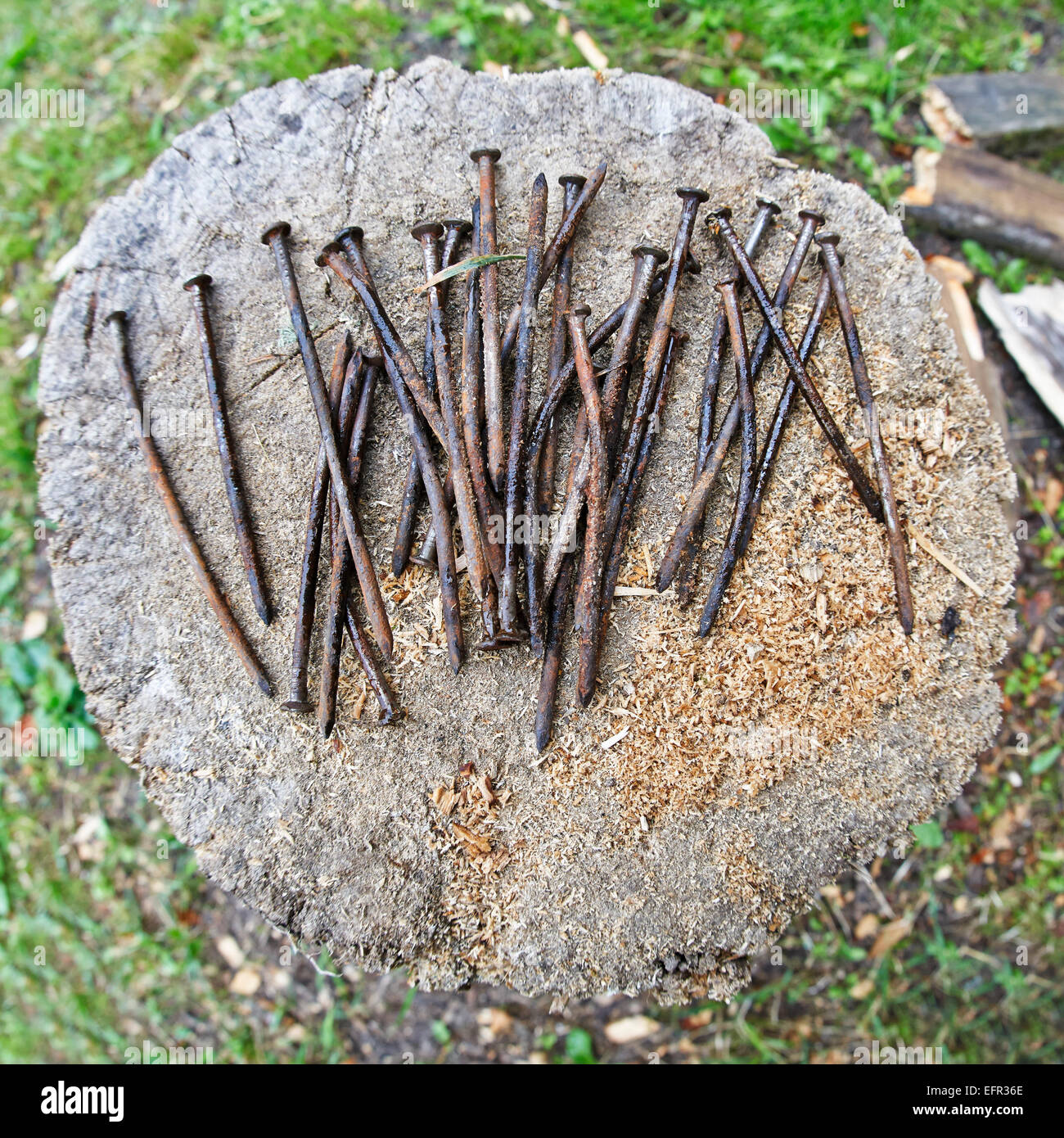 Rostige Nägel auf dem Hackklotz. Stockfoto