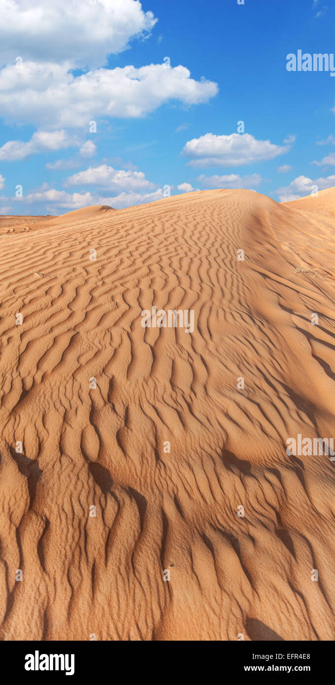 Wellige Sand in der Wüste. Stockfoto
