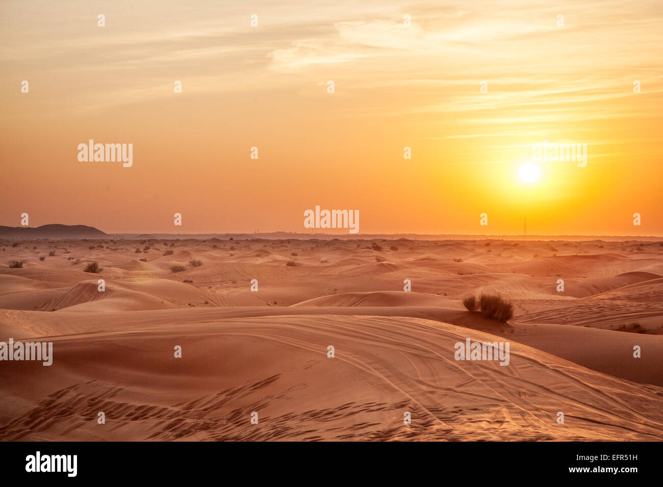 Sonnenuntergang in der Wüste. Stockfoto