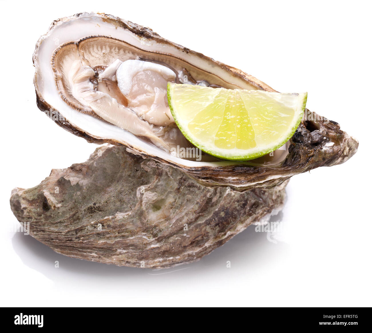 Rohe Austern und Zitrone isoliert auf einem weißen Hintergrund. Stockfoto