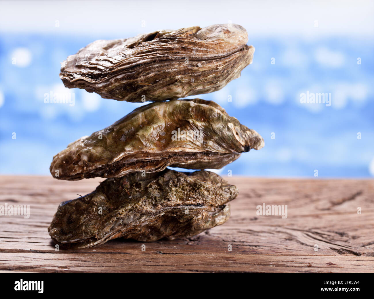 Rohe Austern auf Holz. Meer im Hintergrund. Stockfoto