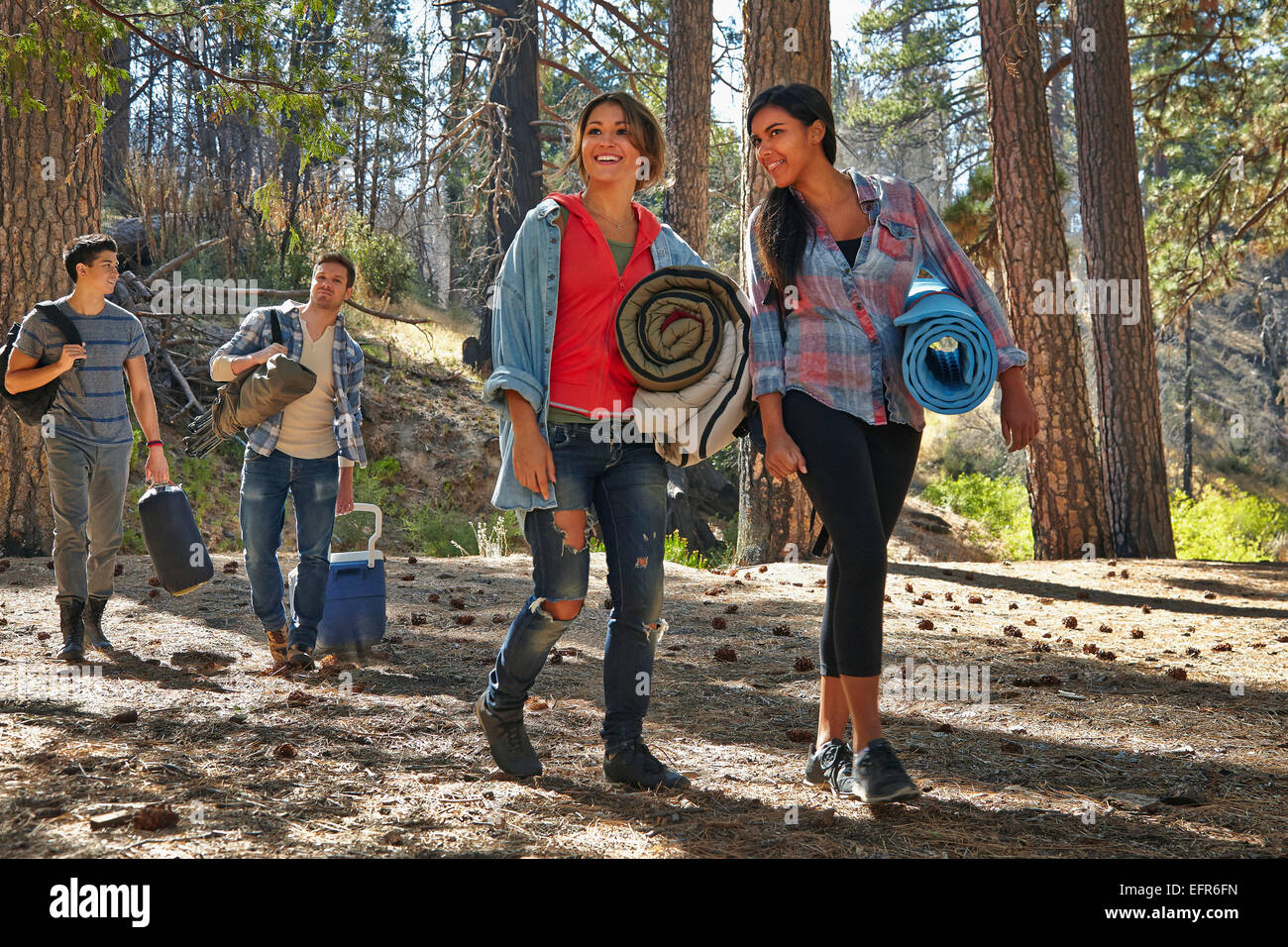 Vier junge Erwachsene Freunde, die zu Fuß in Wald mit Campingausrüstung, Los Angeles, Kalifornien, USA Stockfoto