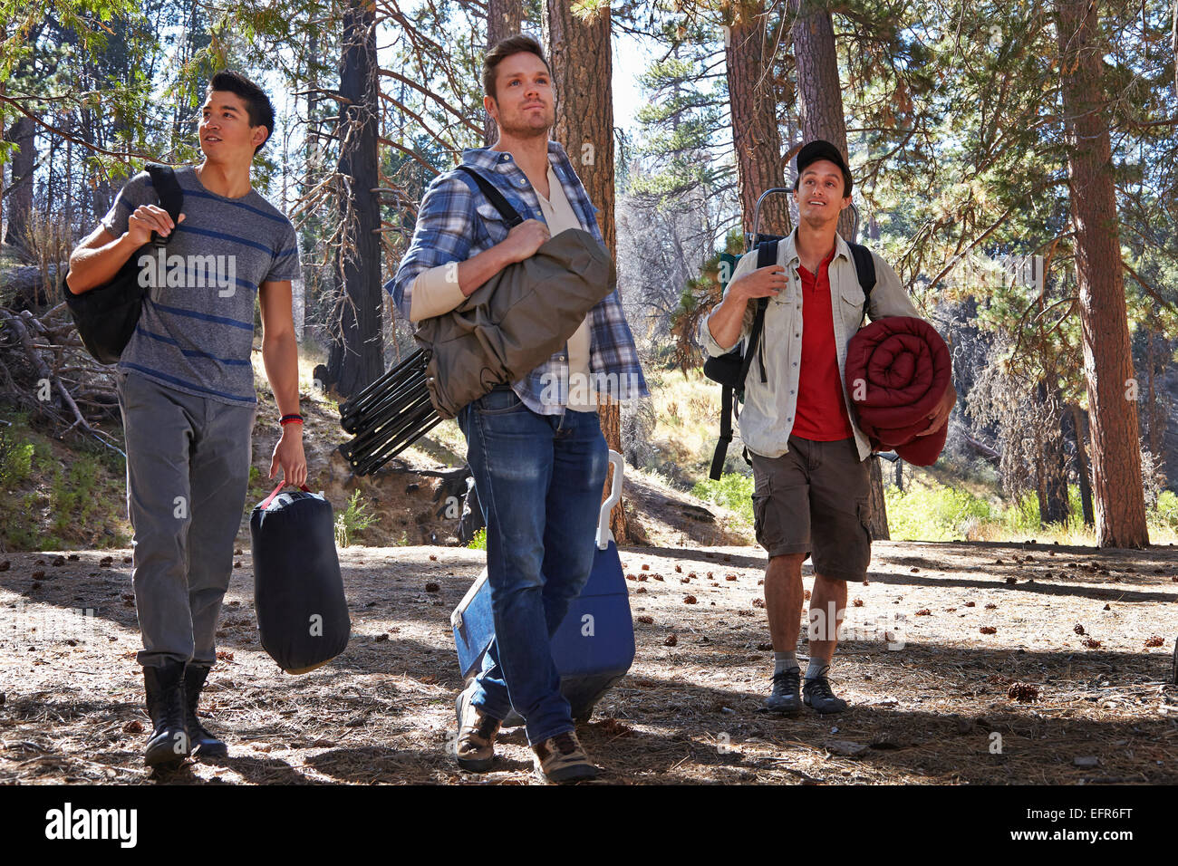 Drei junge Männer im Wald mit Campingausrüstung, Los Angeles, Kalifornien, USA Stockfoto
