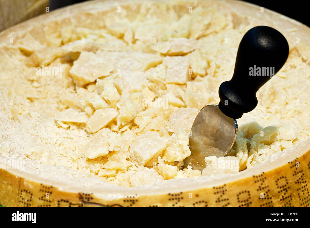 Parmesan-Käse (Kopf) schließen mit Messer. Stockfoto