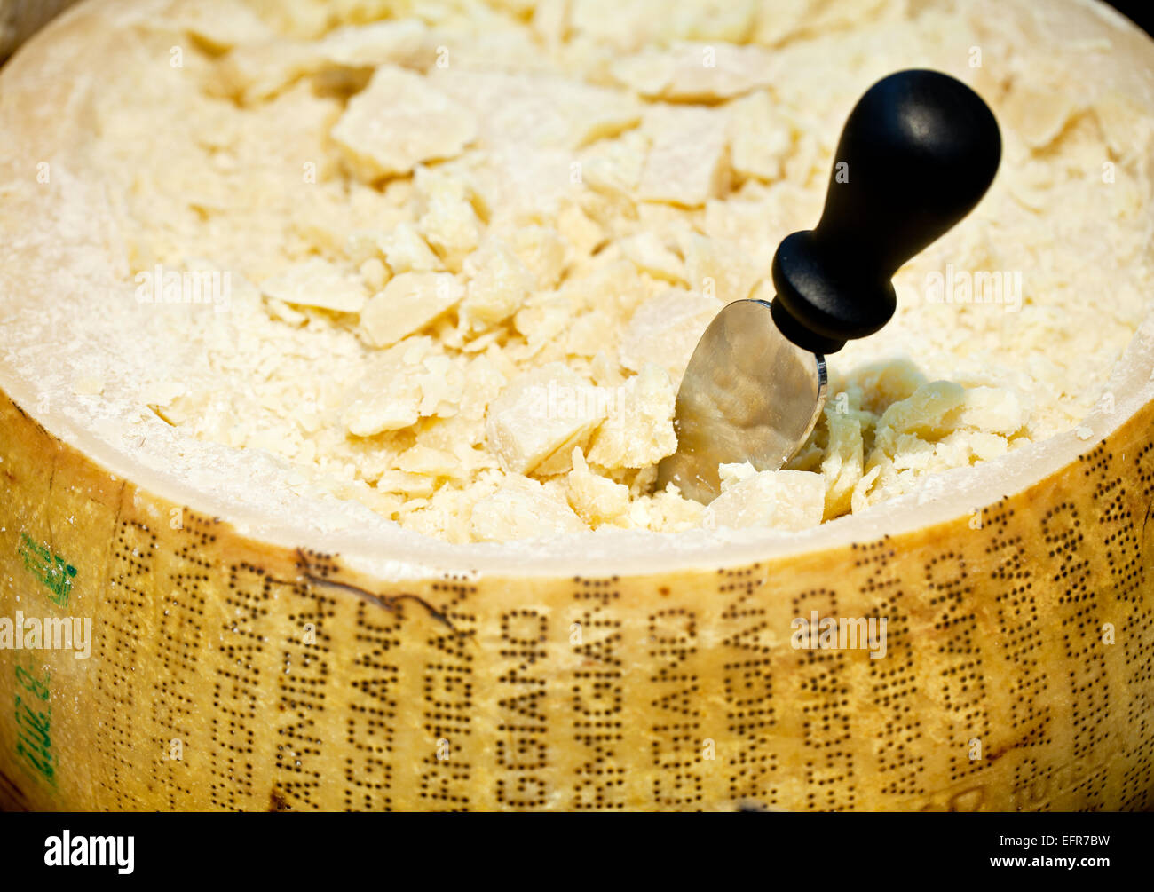 Parmesan-Käse (Kopf) schließen mit Messer. Stockfoto