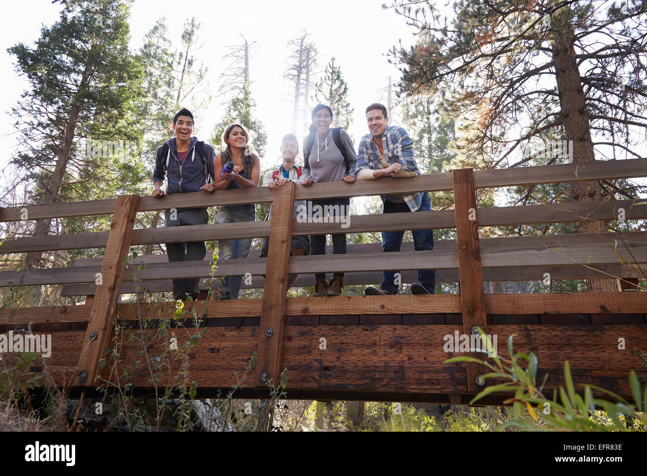 Porträt von fünf jungen Erwachsenen Freunden auf hölzerne Brücke im Wald, Los Angeles, Kalifornien, USA Stockfoto