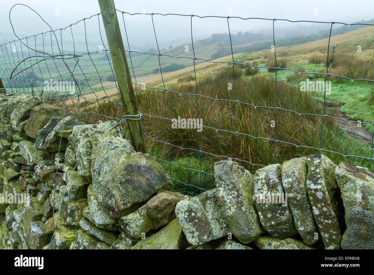 Trockenmauer mit zusätzlichen Zaun, Derbyshire, Peak District National Park, England, Großbritannien Stockfoto