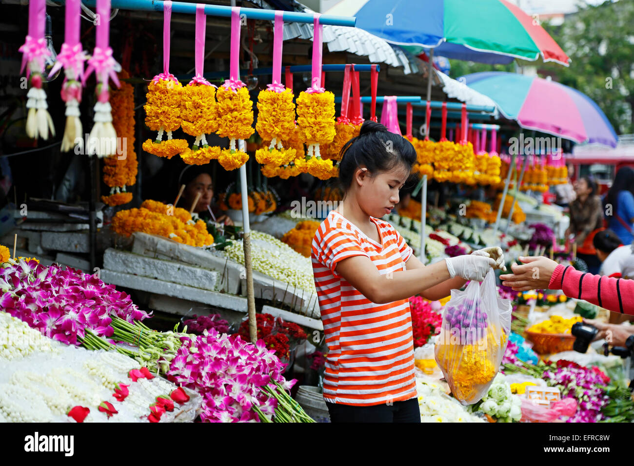 Tonne Lamyai Blumenmarkt, Chiang Mai, Thailand Stockfoto