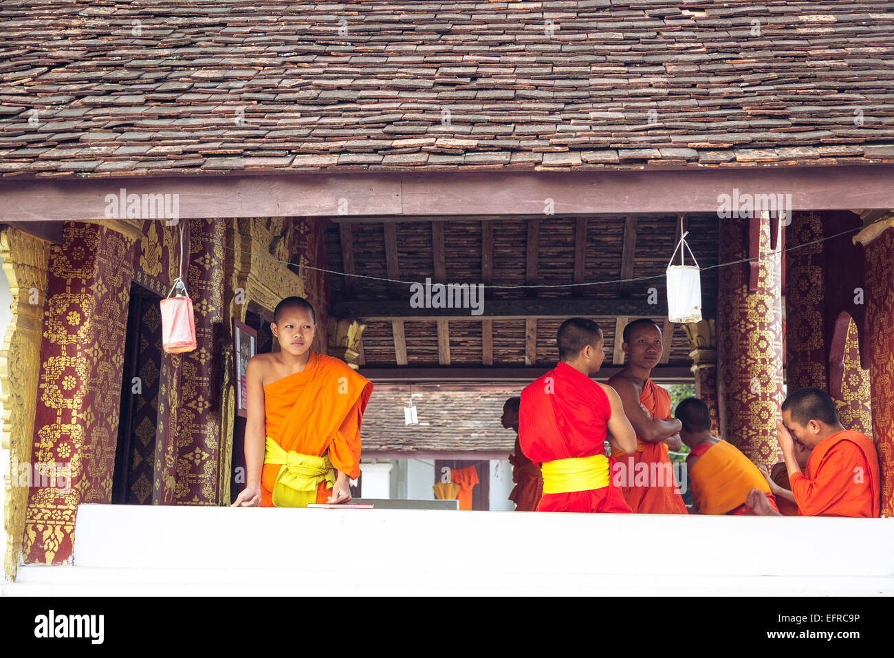 Junge buddhistische Mönche in einem Tempel, Luang Prabang, Laos. Stockfoto