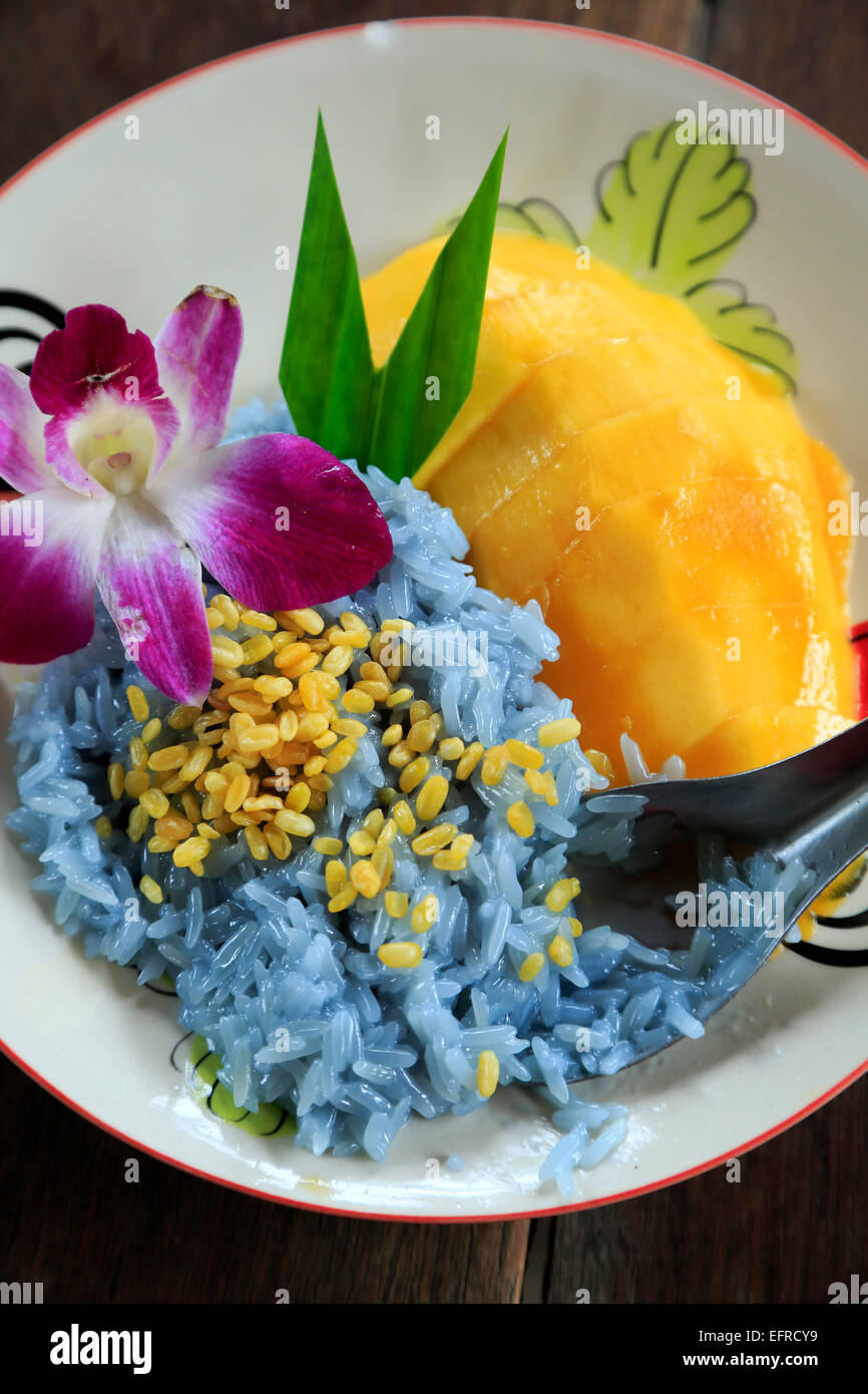 Mango klebriger Reis, Thai Farm Cooking School in der Nähe von Chiang Mai, Thailand Stockfoto