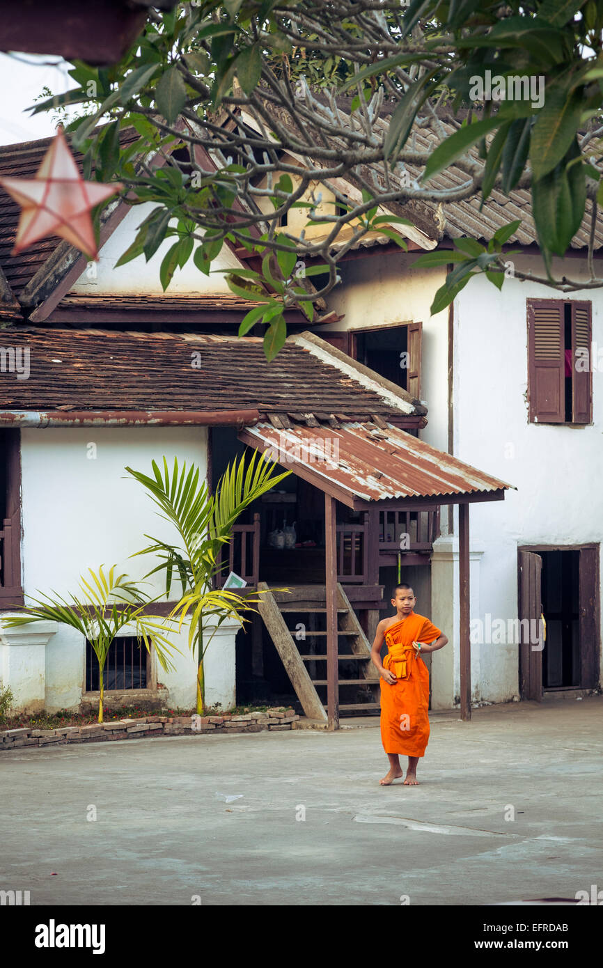 Junge buddhistische Mönche, Luang Prabang, Laos. Stockfoto