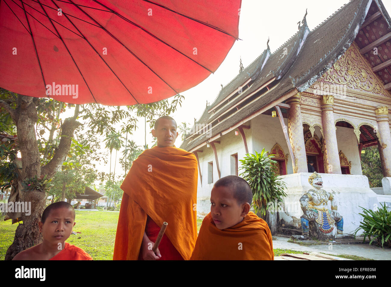 Junge buddhistische Mönche, Luang Prabang, Laos. Stockfoto