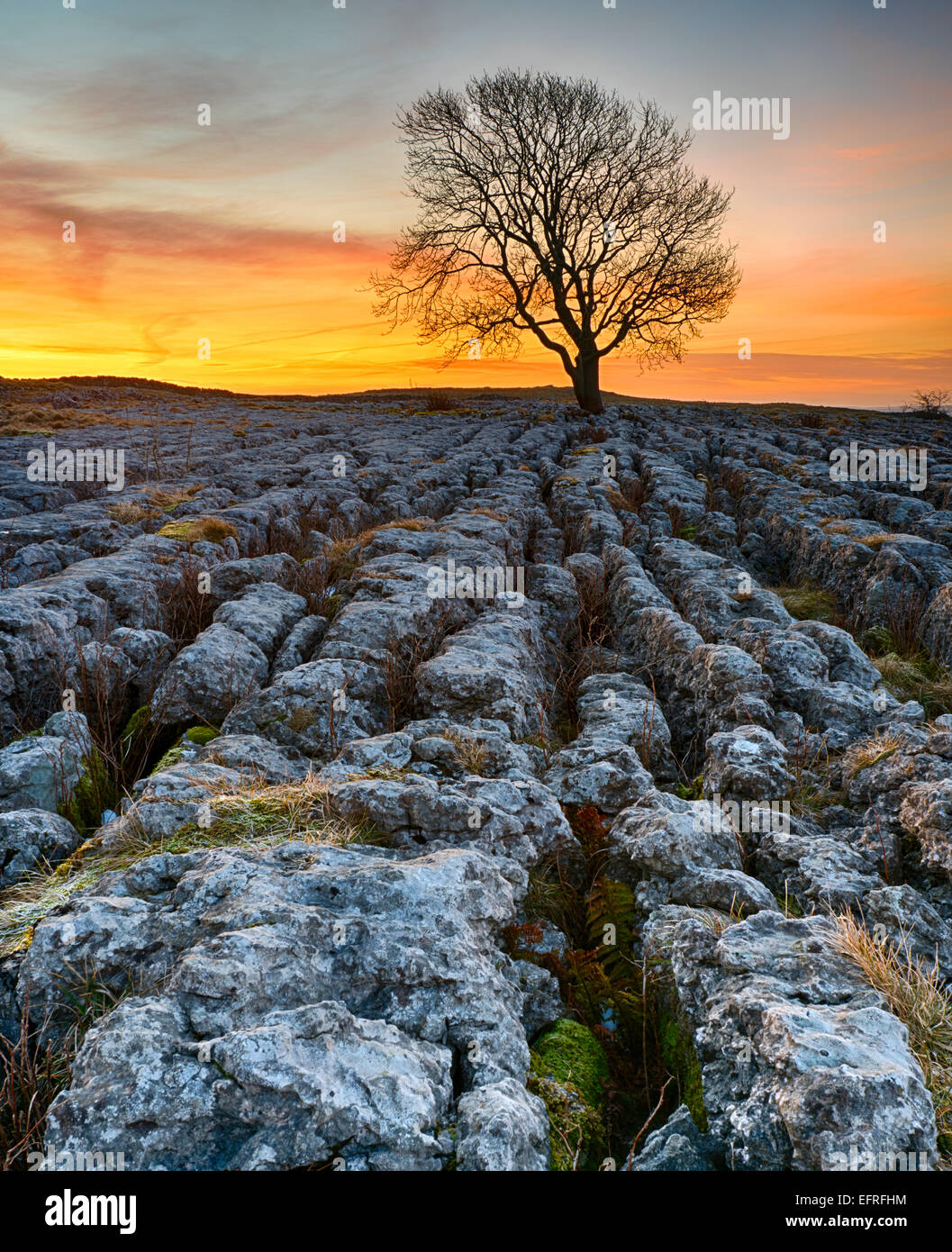 Kalkstein Pflaster, Malham, Yorkshire Dales, England, UK Stockfoto