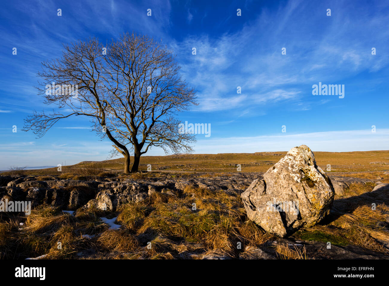 Kalkstein Pflaster, Malham, Yorkshire Dales, England, UK Stockfoto