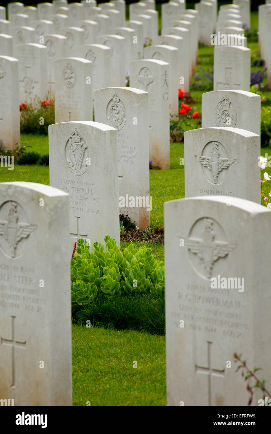 Britische Krieg Friedhof von Bayeux, Normandie, Frankreich Stockfoto