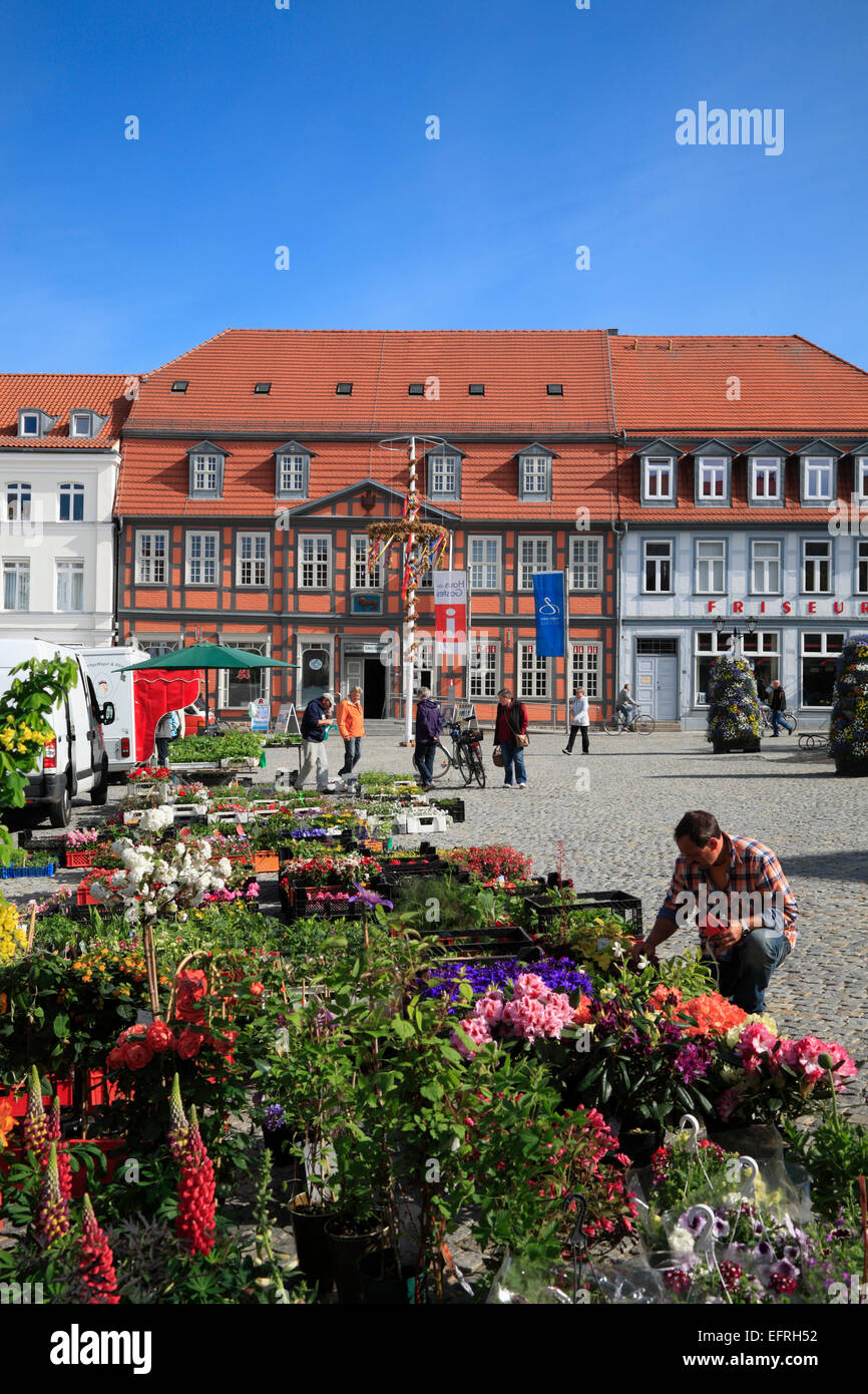 Marktplatz in Waren / Müritz See, Seenplatte, Mecklenburg Western Pomerania, Deutschland, Europa Stockfoto