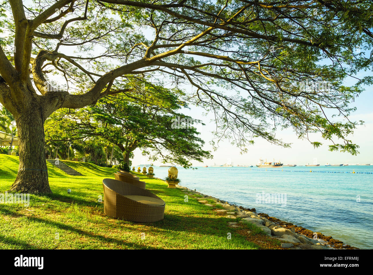 Entspannen Sie sich in Runde liege unter großen Baum Meer mit warmem Licht Stockfoto