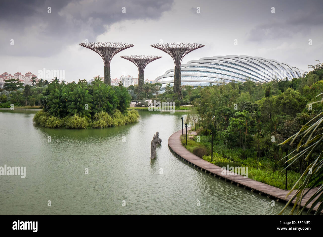 Supertrees und Konservatorium in Gärten an der Bucht, Singapur Stockfoto