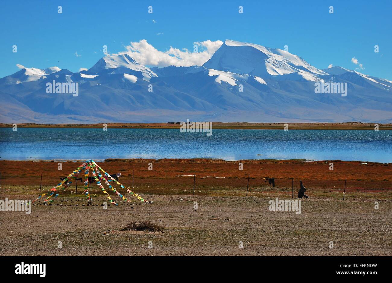 Reisen Sie in Tibet. Stockfoto