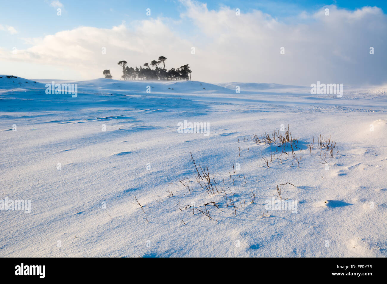 Lady Hill in Wensleydale im Schnee Stockfoto