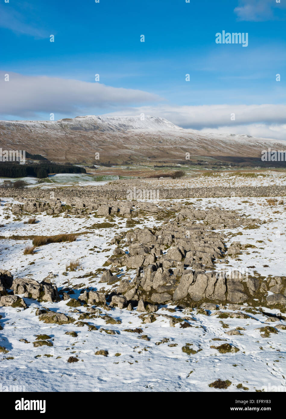 Wherside von Souther Skalen in Ribblesdale Stockfoto