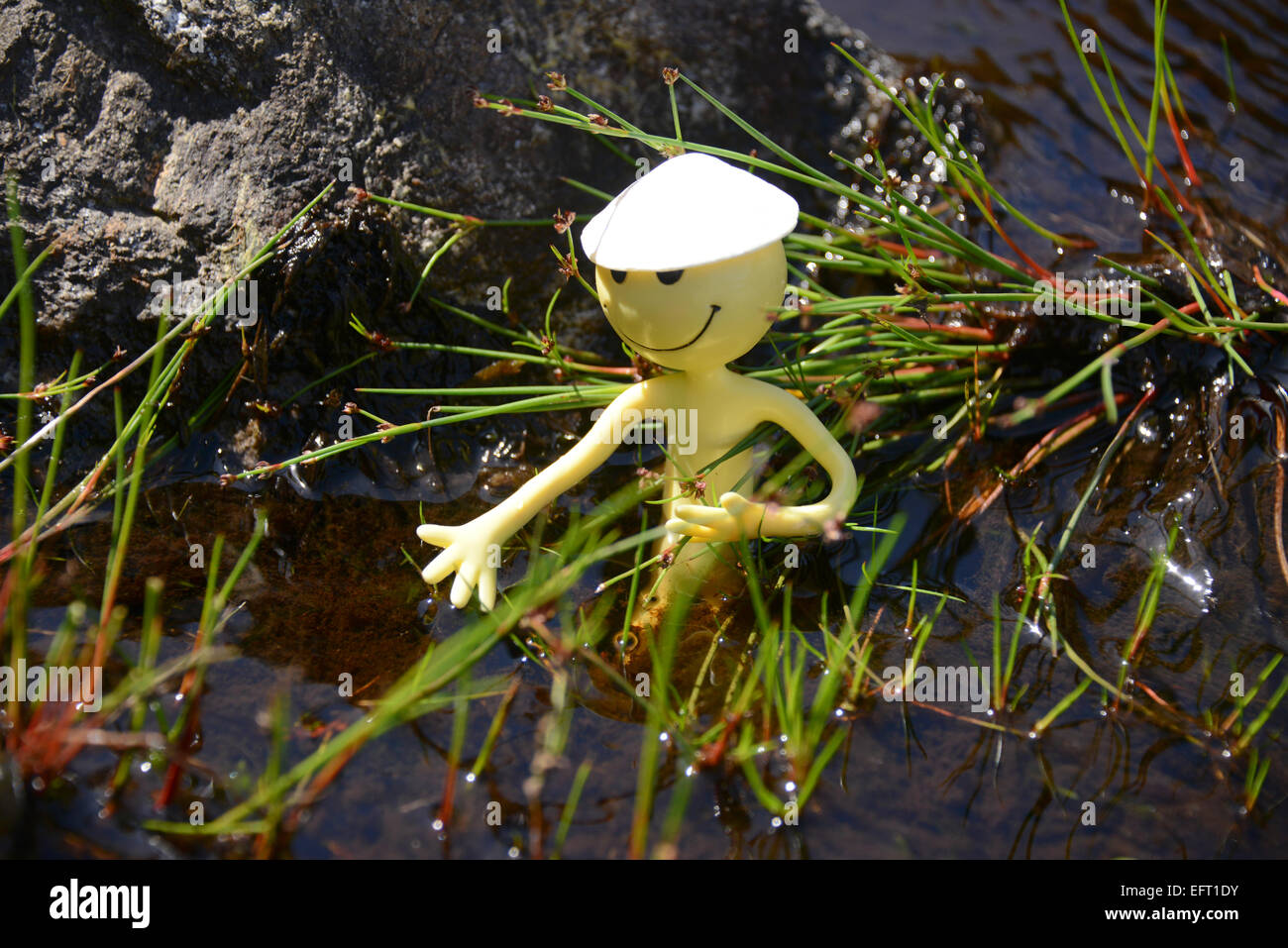 Gelbe Smiley Mann auf Urlaub in den Äußeren Hebriden - das Tragen eines limpet Shell als Coolie Hat vorgibt in einem Reisfeld. Stockfoto