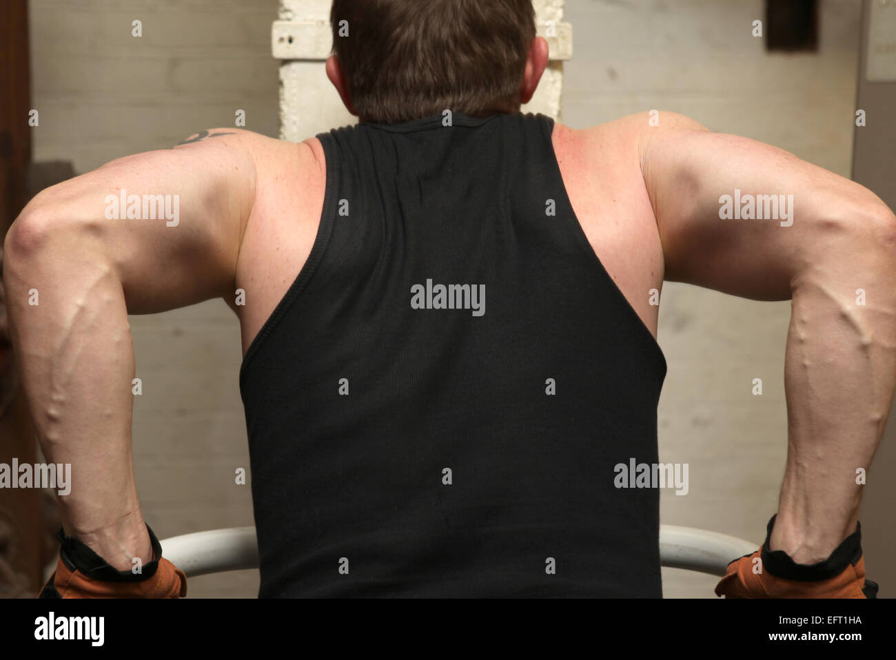 Training Bizeps und Trizeps im Fitness-Studio. Mann Übung heben sich zeigen Muskeln Stockfoto