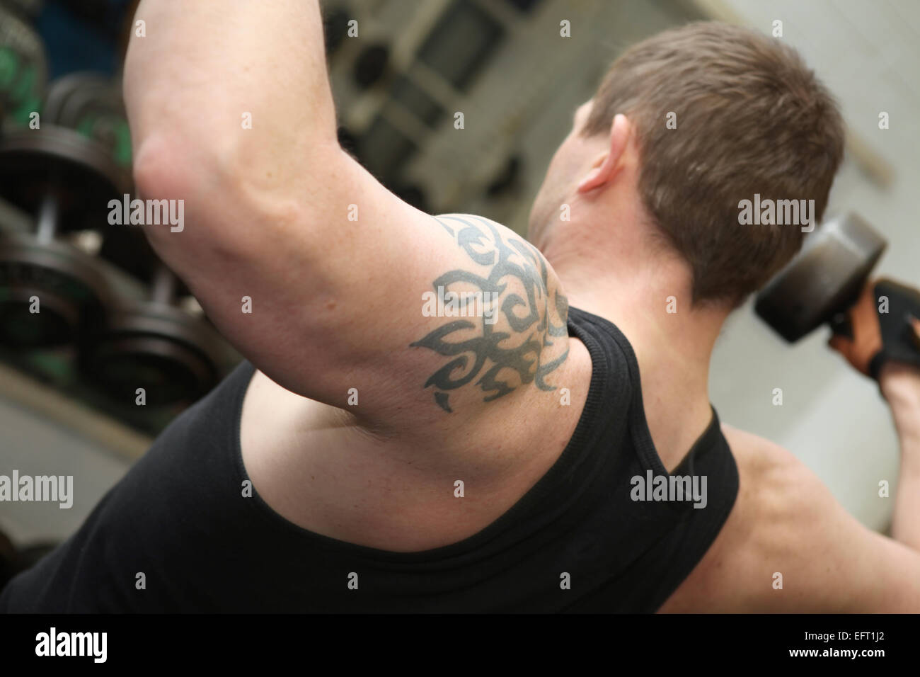 Ausbildung oder Training im Fitness-Studio. Männlich, die Hanteln heben zum Muskelaufbau in Schultern Stockfoto