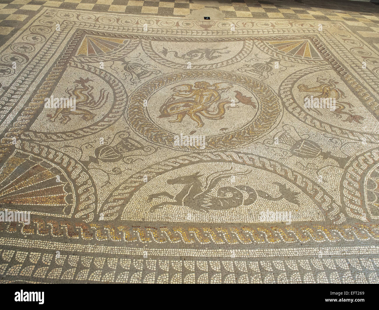 Amor und Dolphin Mosaic, Fishbourne Roman Palace, Nr Chichester West Susses UK Stockfoto