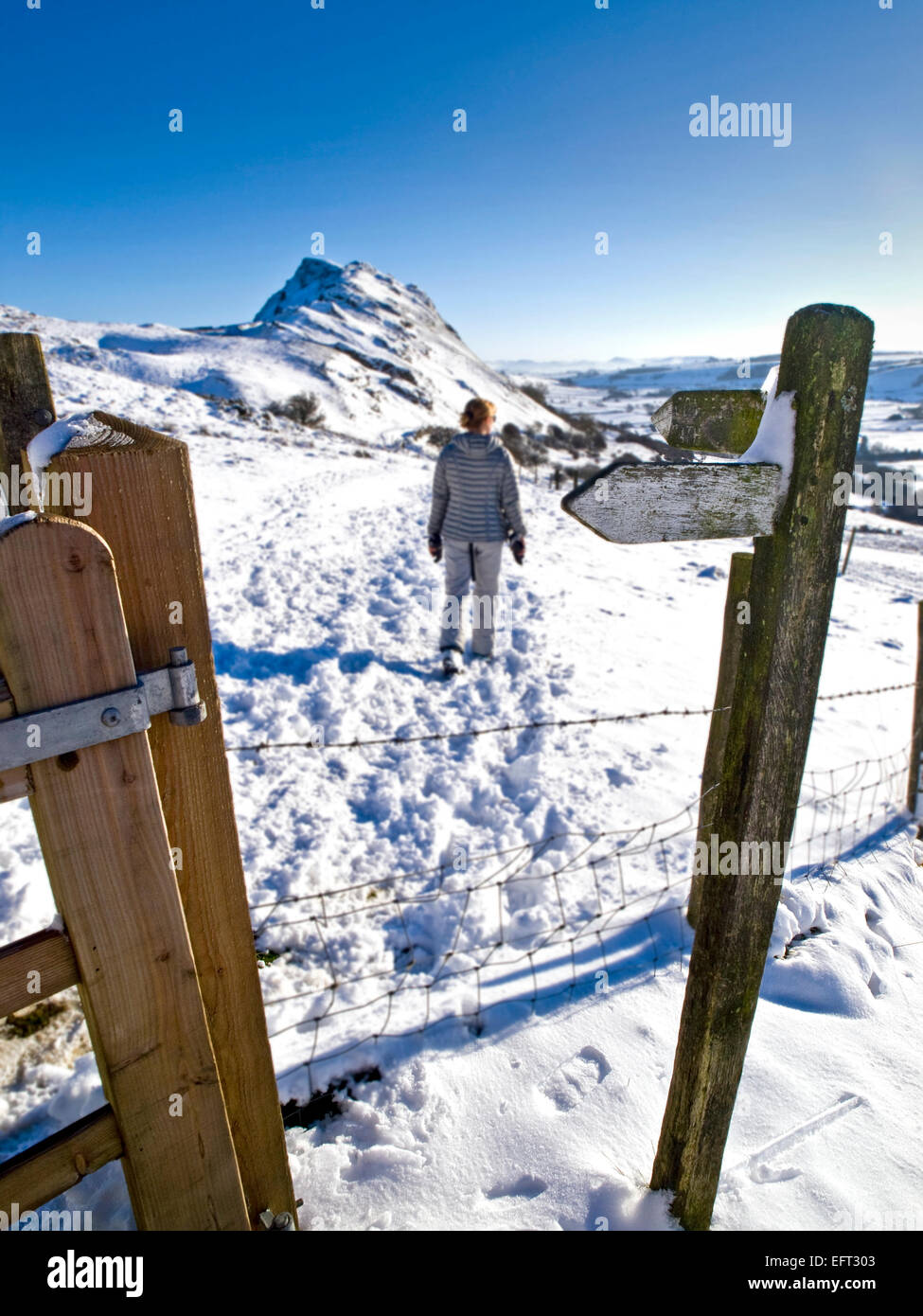 Eine weibliche Wanderer nähert sich einem Schnee Chrom Hill in der oberen Taube Tal im Peak District abgedeckt Stockfoto