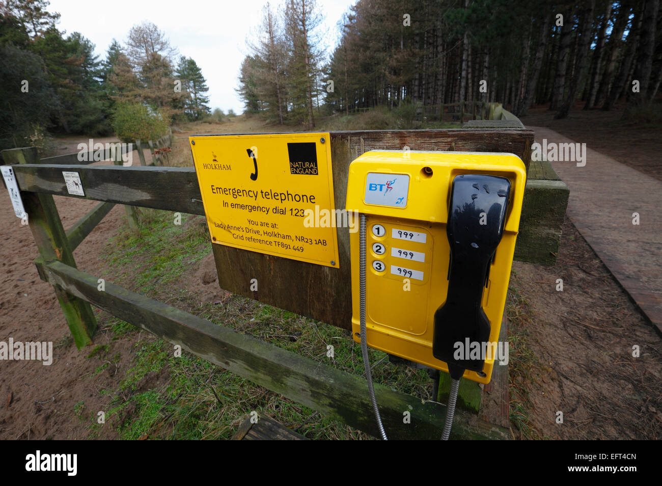 Gelbe Notruftelefon bei Holkham, Norfolk, England, UK. Stockfoto