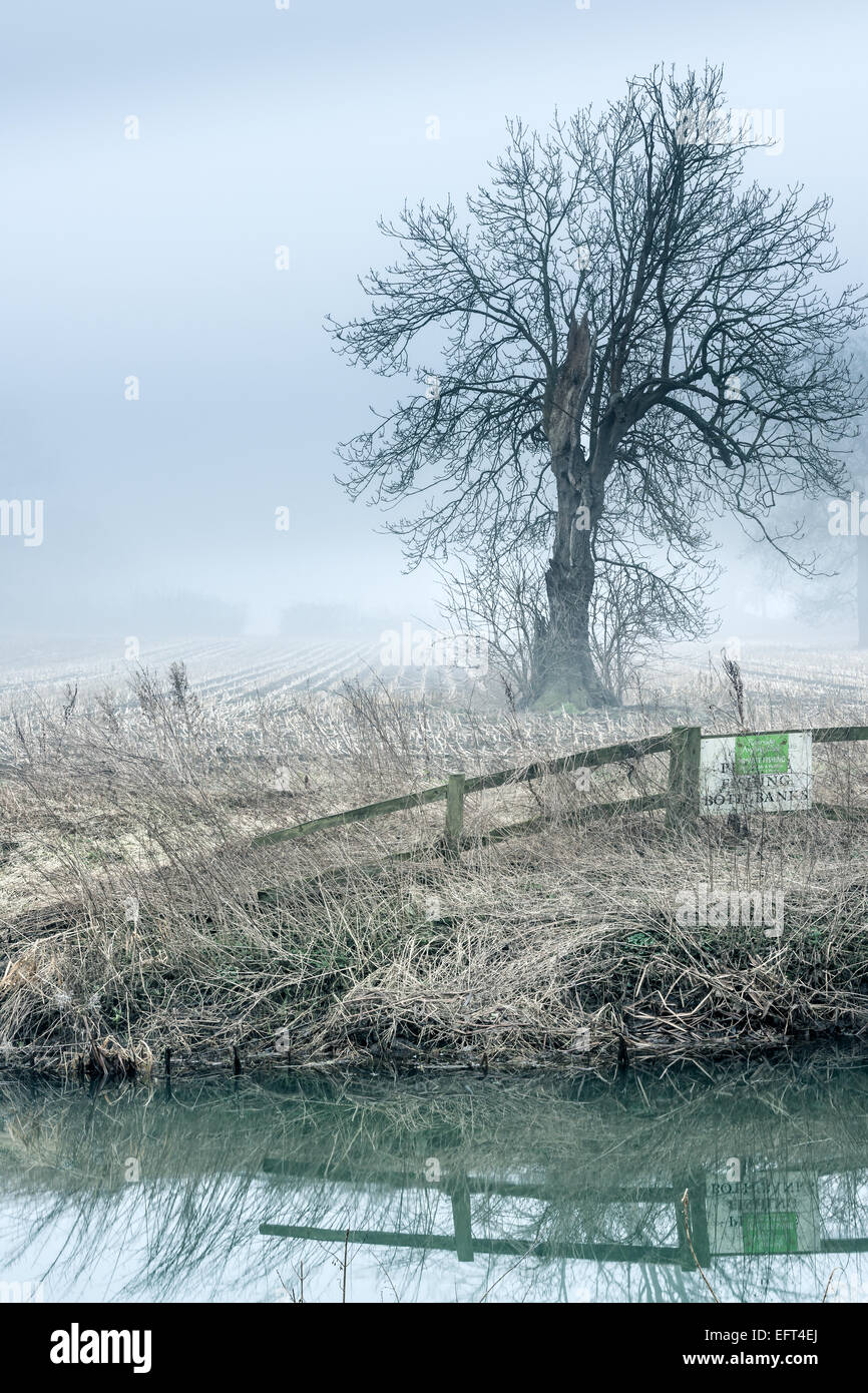 Ein Misty River Avon Stockfoto