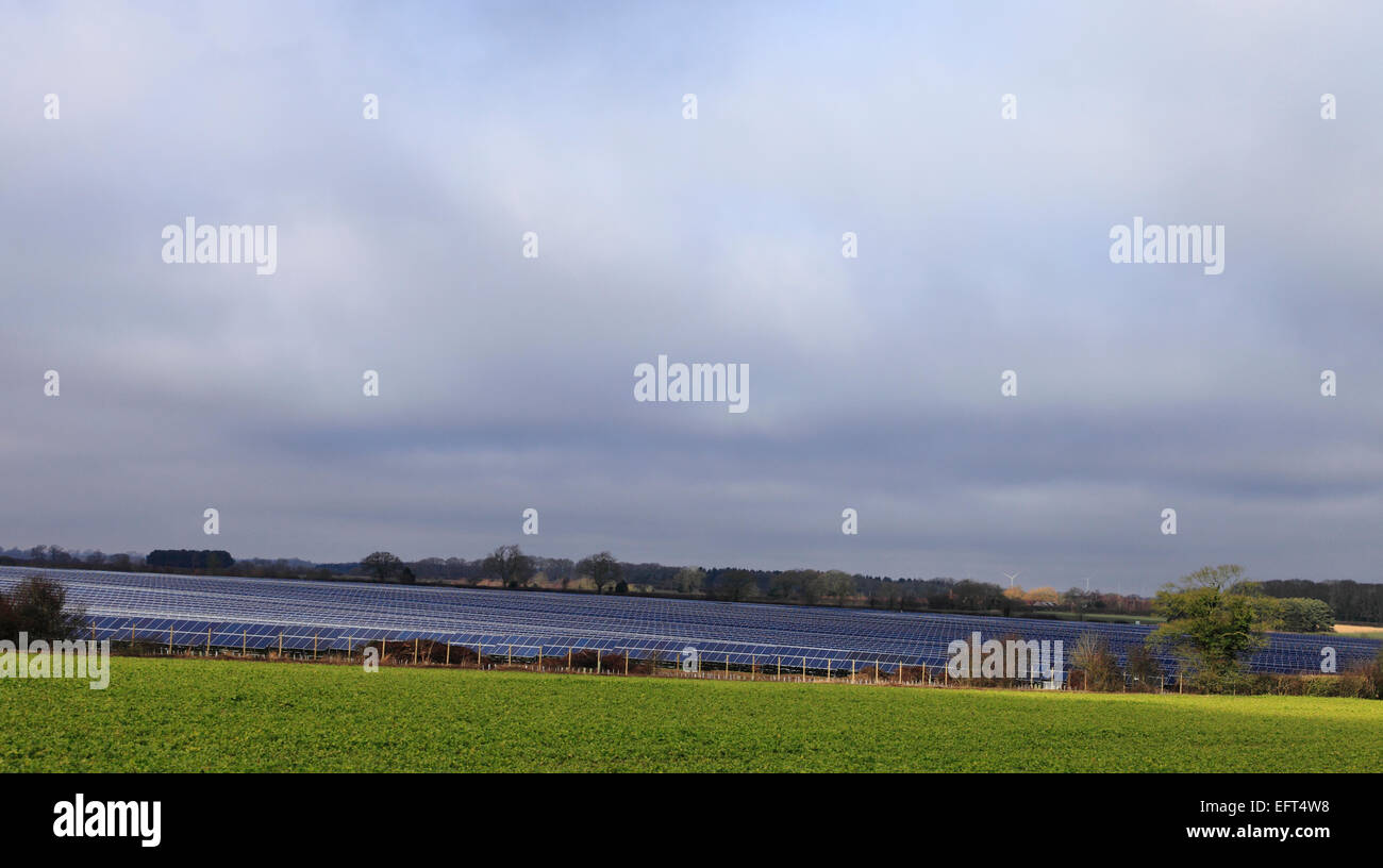 Sonnenkollektoren im Westen Raynham Solarpark in Norfolk, England, UK. Stockfoto