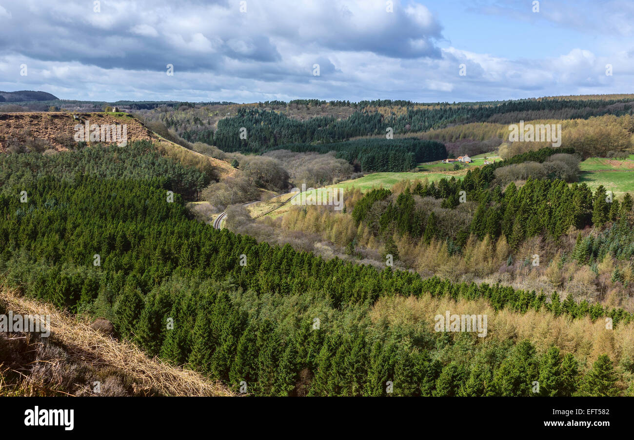 Die North York Moors zeigt die leicht hügelige Landschaft und entfernten Bauernhaus nahe dem Dorf Goathland, Yorkshire, Großbritannien. Stockfoto