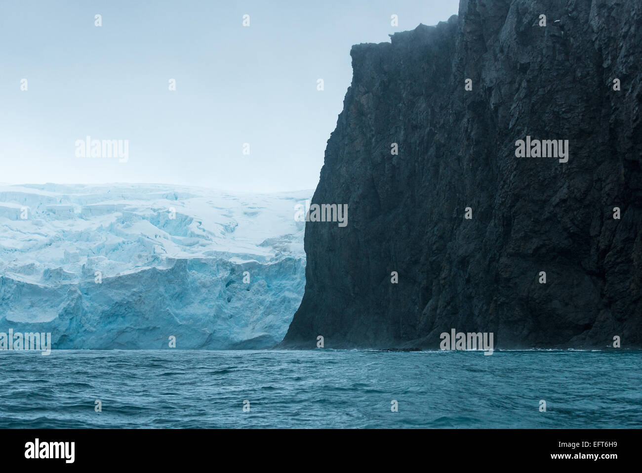 Punkt-Wild auf Nord Küste von Elephant Island, in der Süd-Shetland-Inseln der Antarktis Stockfoto