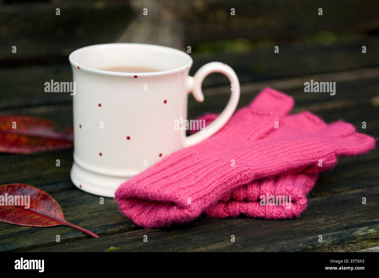 Dampfende Tasse Tee mit Strickhandschuhe und Herbst Blätter auf Bank im Garten an einem kalten Wintertag Stockfoto
