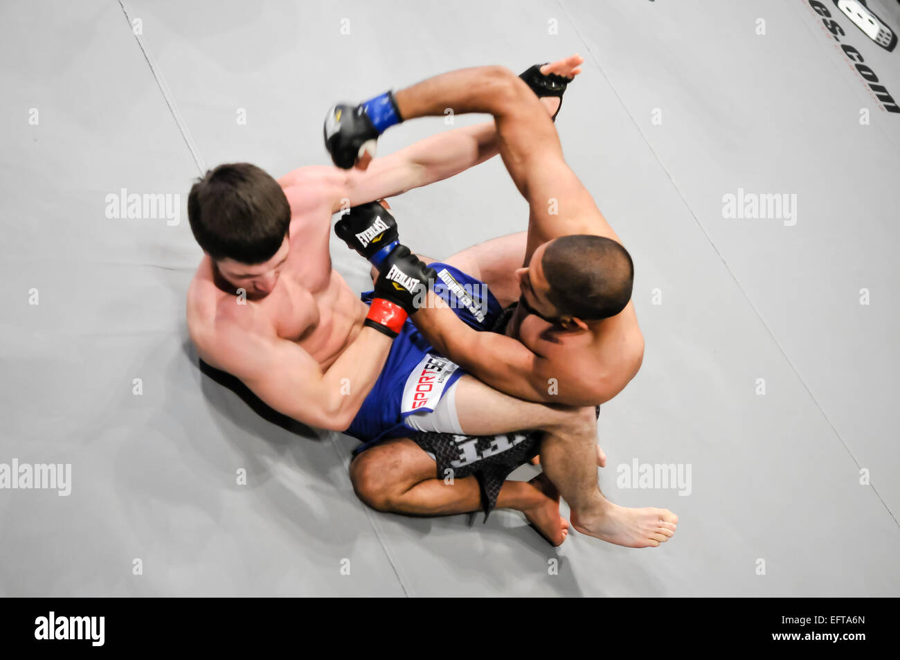MMA Käfig-Kämpfer wird immer wieder ins Gesicht gelocht, ESC. Stockfoto
