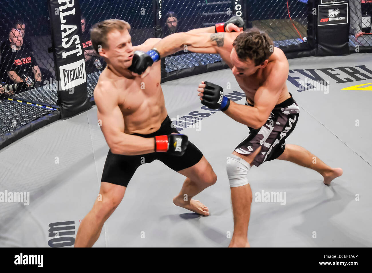 MMA Käfig-Kämpfer ist in das Gesicht schlug. Stockfoto