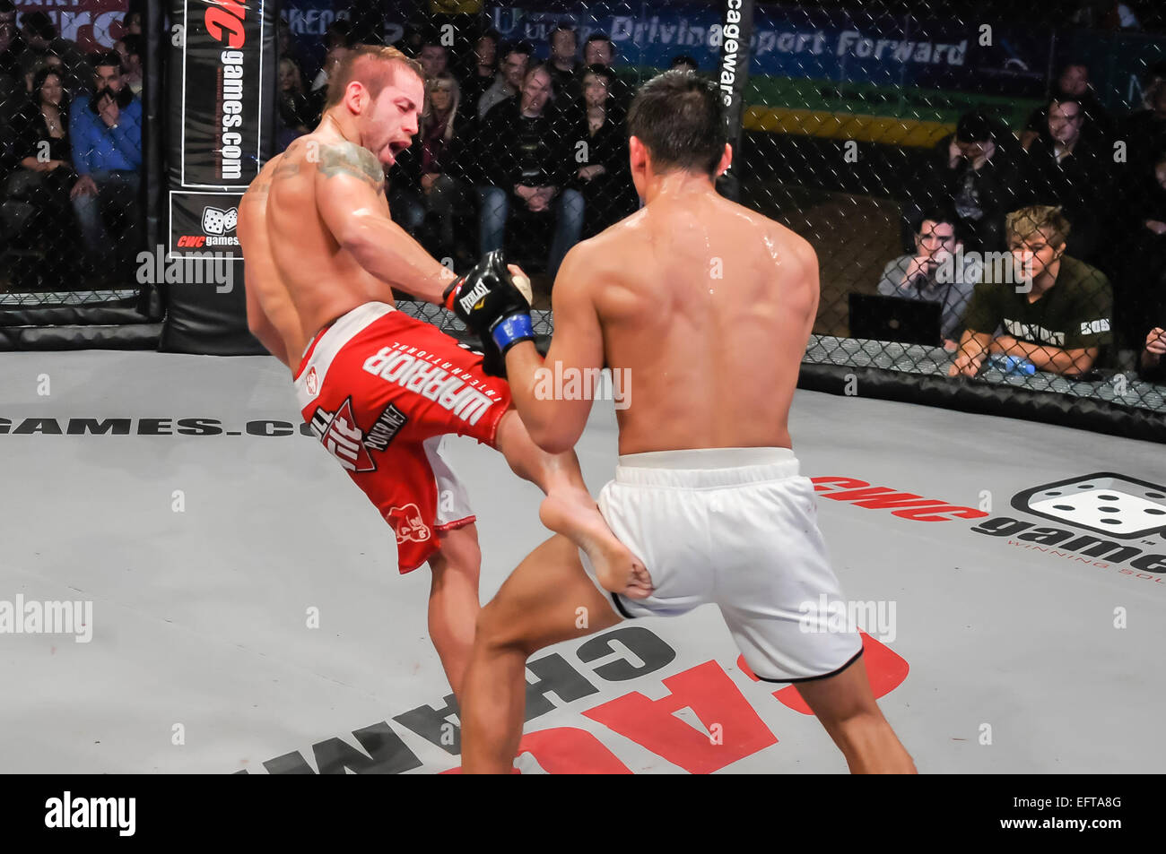 MMA-Käfig-Kämpfer Rich Clementi tritt seinen Gegner in der Hüfte. Stockfoto