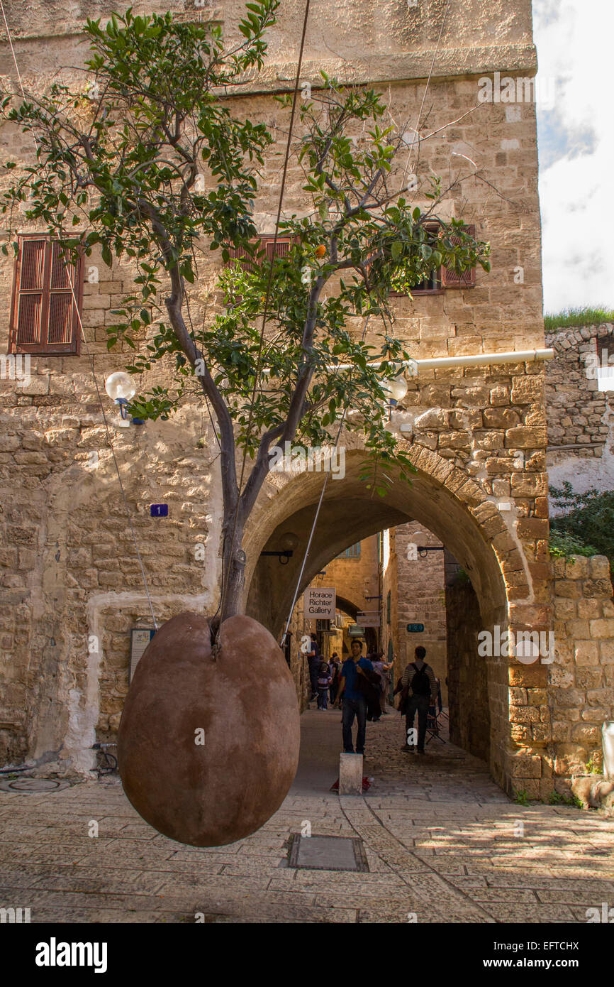 Alten Jaffa-Gasse und der hängende Baum. Israel Stockfotografie - Alamy