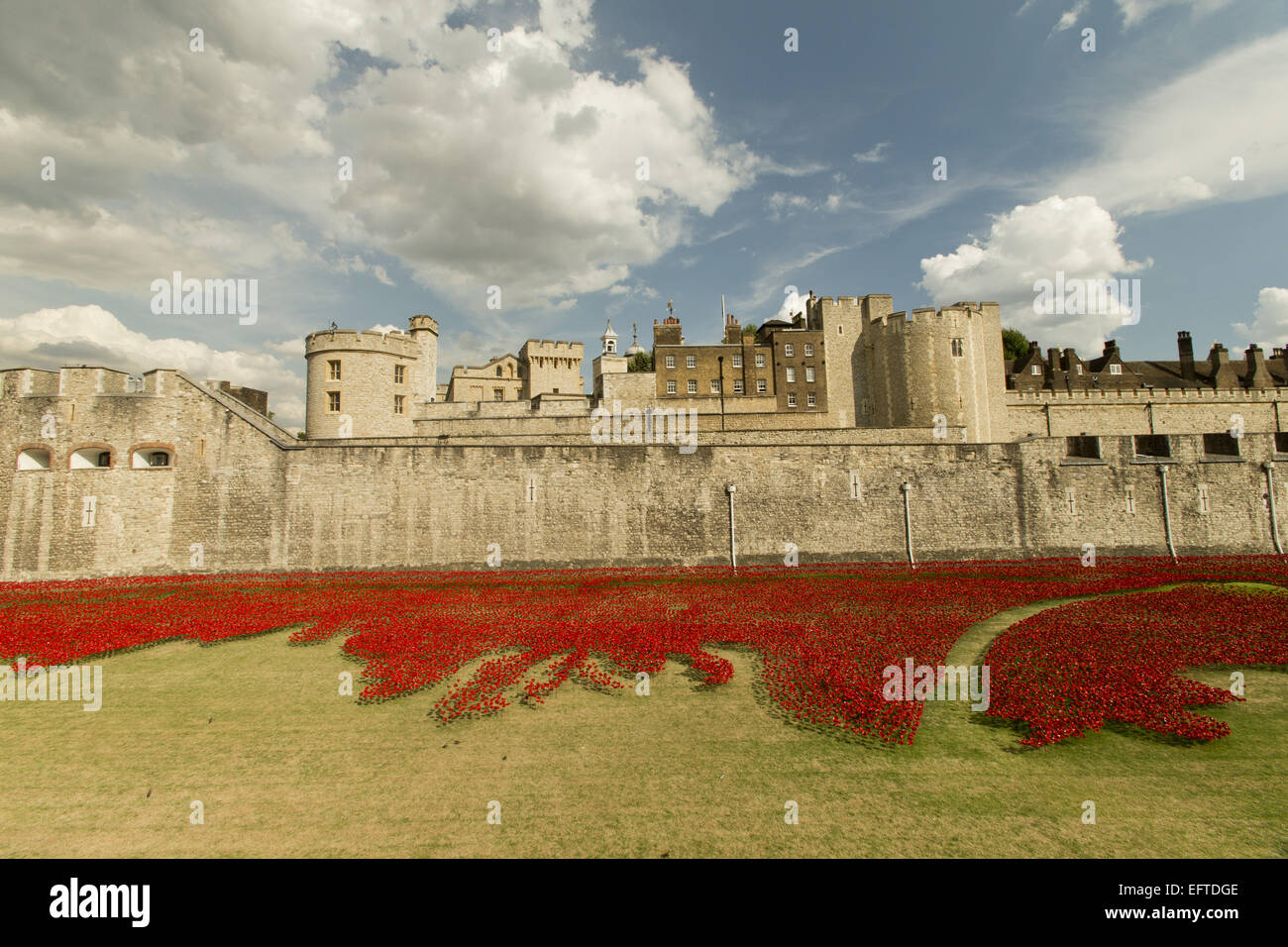 Allgemeine Ansichten einer Installation von Keramik-Künstler Paul Cummins mit dem Titel "Blut Mehrfrequenzdarstellung Länder und Meere of Red". Die Installation, die in den Tower of London vom 5. August bis zum 11. November ist, verfügt über Keramik Mohnblumen, darstellt die Leben Stockfoto