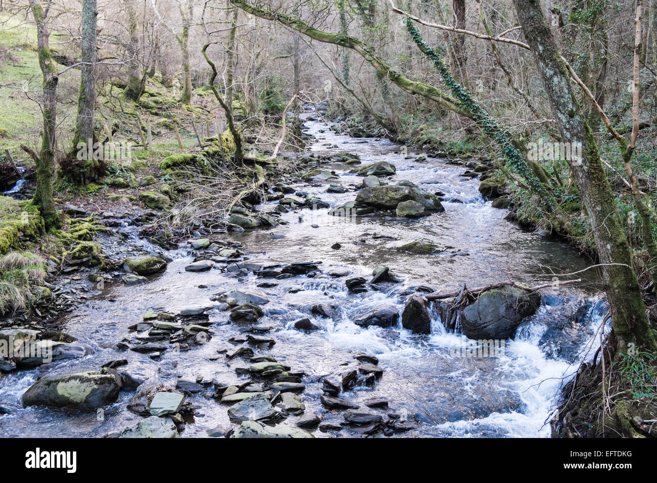 Celtic, Regenwald, Wald, Wälder und Afon Einion Einion, den Fluss und das Tal oberhalb Dorf Ofen auf Wales Coast Path, Ceredigion, Wales, Wales, Großbritannien Stockfoto