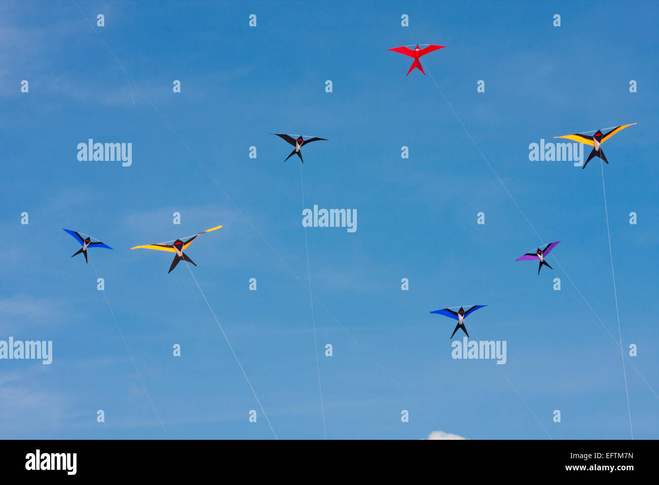 Vogelartige Drachen, die im Mai beim Weymouth Kite Festival, Dorset UK, am blauen Himmel fliegen Stockfoto