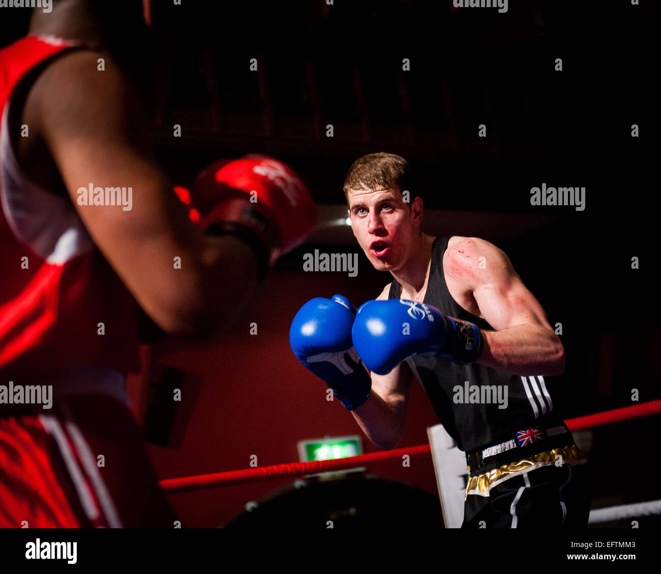 Boxer im Boxring Stockfoto