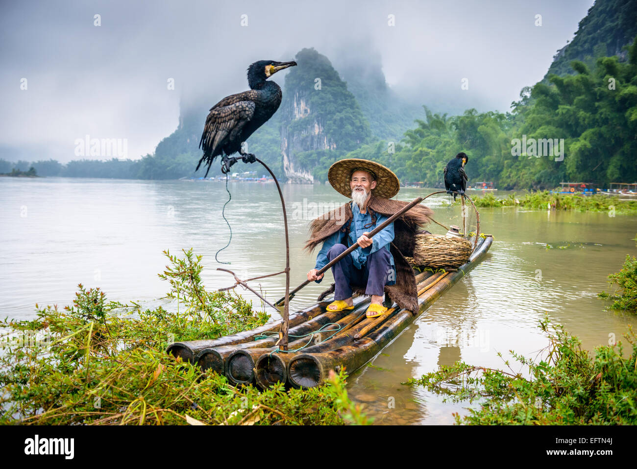 Kormoran Fischer und seinem Vogel auf dem Li-Fluss in Yangshuo, Guangxi, China. Stockfoto