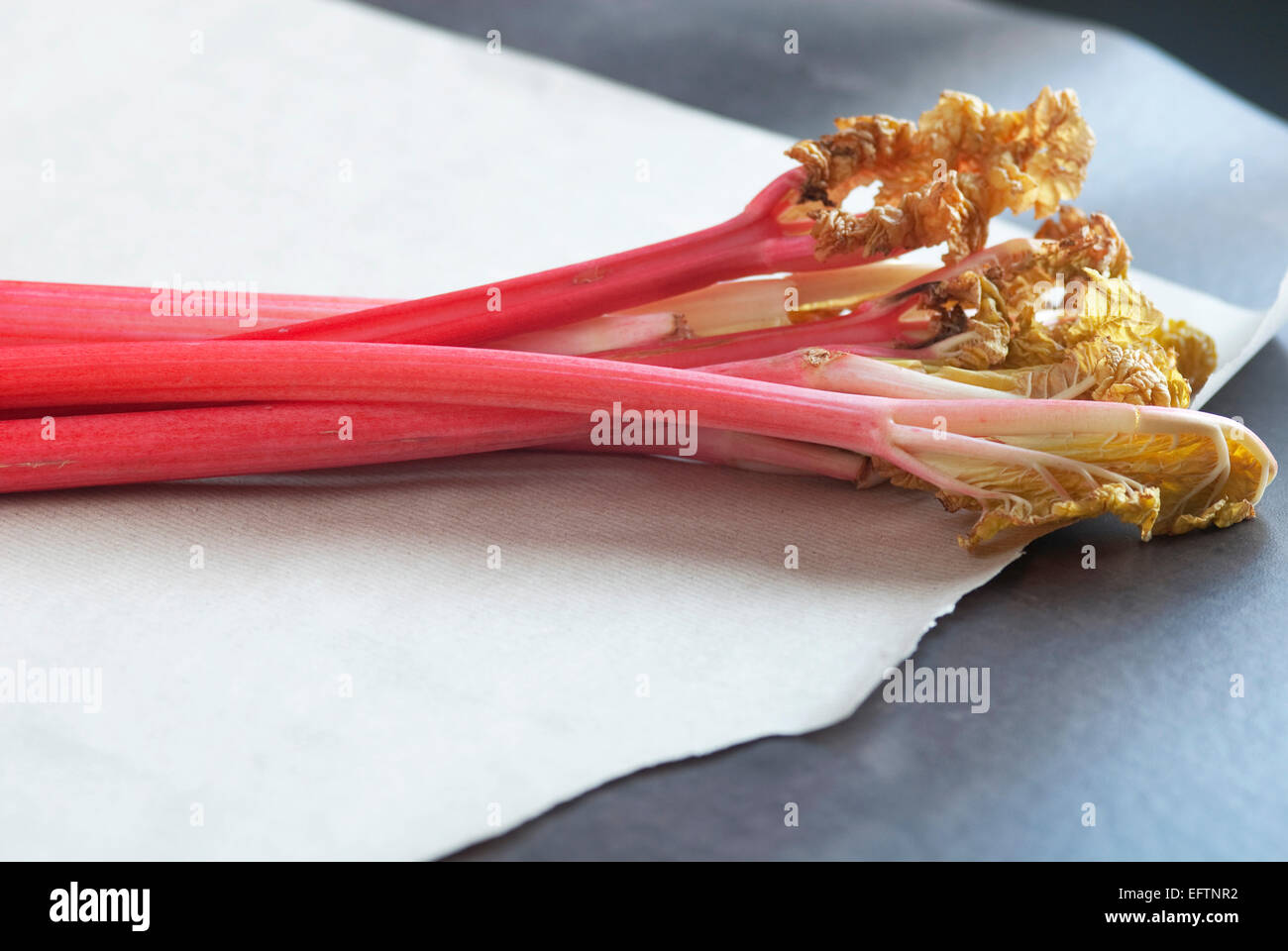 Still-Leben essen Bild der frühen Yorkshire Rhabarber Stockfoto