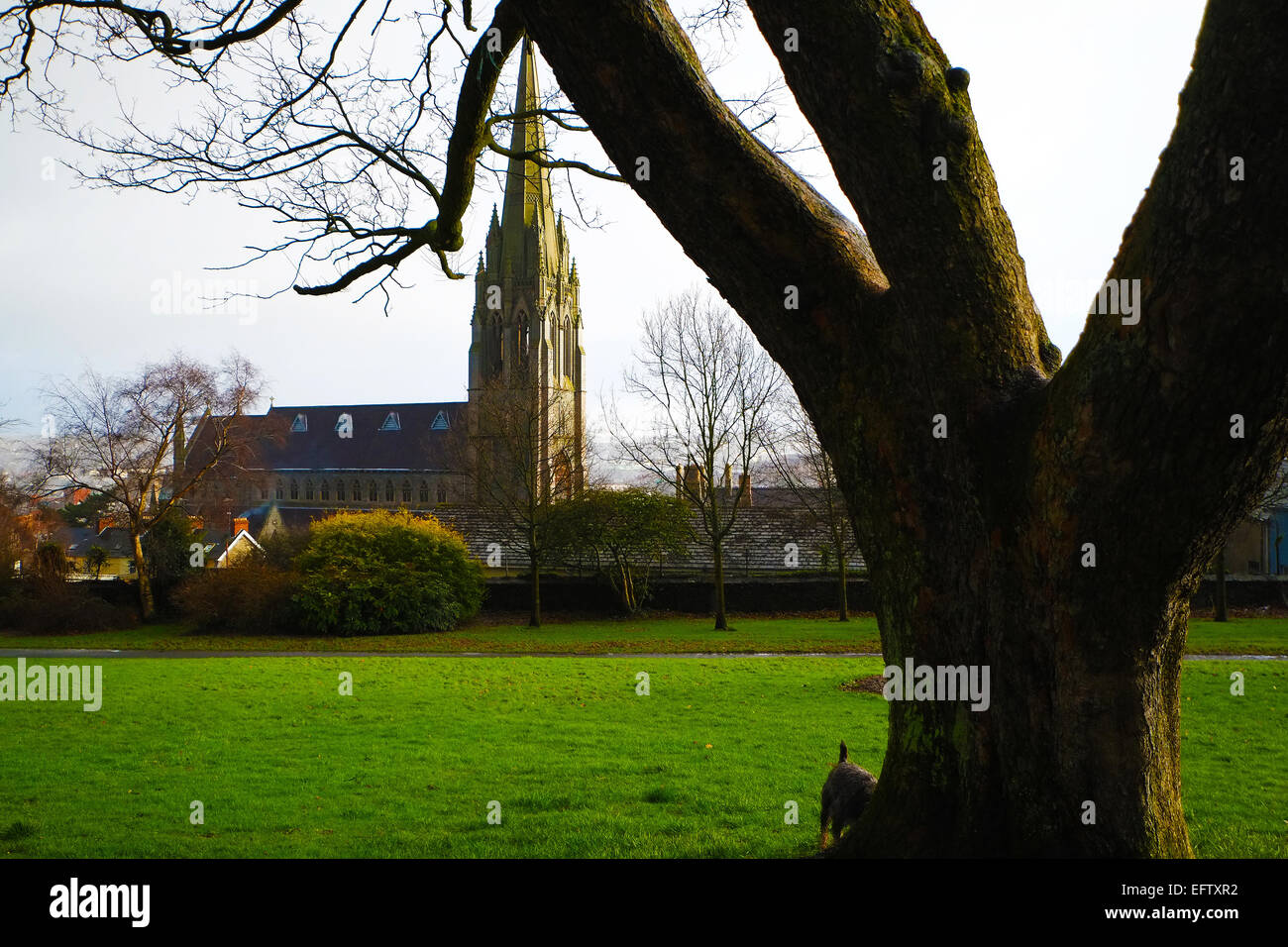 Brooke Park Derry Stockfoto