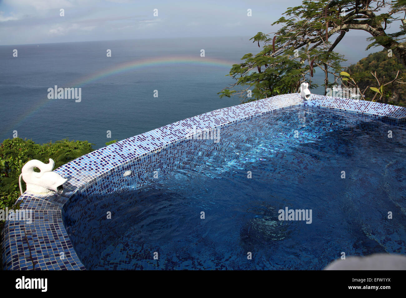 Ein Tauchbecken und Johannisbrotbaum am Rande des karibischen Ozeans mit einem Regenbogen hinter Stockfoto