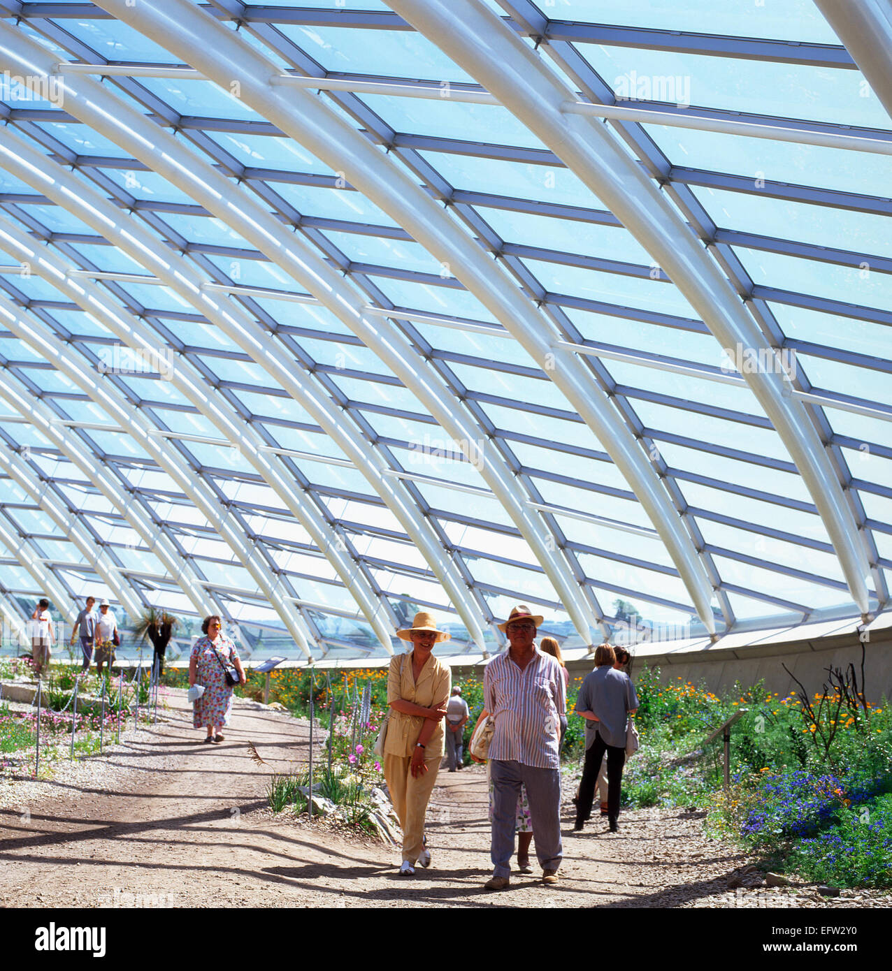 Besucher flanieren im Inneren der großen Glas Haus durch normale Partnerschaft Fördern an der Nationalen Botanischen Garten von Wales Carmarthenshire UK KATHY DEWITT konzipiert Stockfoto